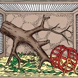 Organising an animal cage