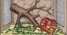 동물 우리 안의 차림