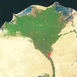 尼罗河的洪泛区