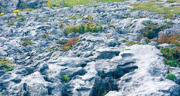 Известняковая поверхность