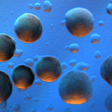 E. coli bacteria colonies (coloured background)