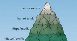 A magassági növényövek