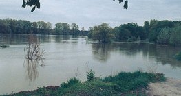 Przypływ na Dunaju