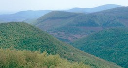 Тектонические горы