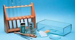 일반적인 실험 기구