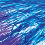 筋肉と腱のつながり