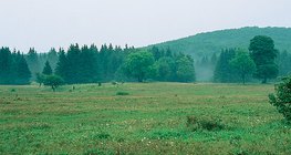 Płaskowyż Bükk (Węgry)