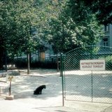 Teren wyznaczony dla psów