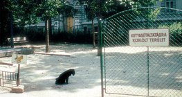 Teren wyznaczony dla psów