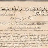 A Törvényhatósági Tudósítások egyik példánya