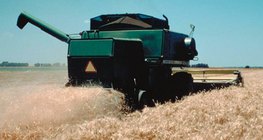 Уборка урожая зерновых культур