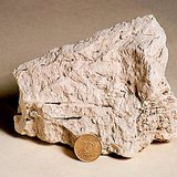 Меловый известняк