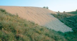 Homokbuckák a Kiskunságban