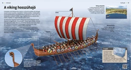 Nave vichinga