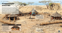 Traditional African Villages