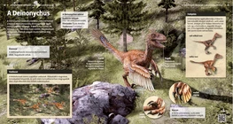 Deinonychus