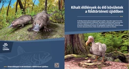 Extinct Species and Living Fossils in the Cenozoic Era