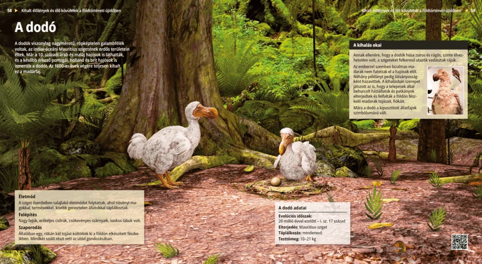 Dodo