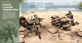 Soldiers in World War II (japanese, american)