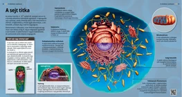 The Secret of Cells