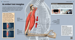 The Body’s Movements