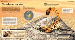 Spiders: Creepy Critters