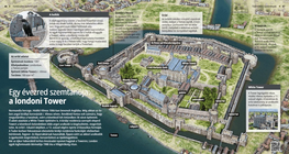 A Millennial Eyewitness: The Tower of London