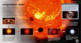 The Life Cycle of the Solar System