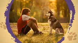 Possiamo capire il linguaggio degli animali?