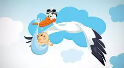 Davvero le cicogne portano i bambini?