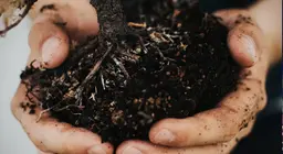 Come si forma il suolo?