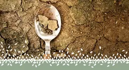 Crisi alimentare globale