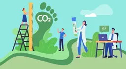 Quanto è grande la tua impronta ecologica?