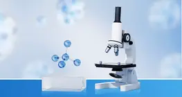 Come usare un microscopio?