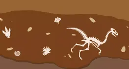 Come si è sviluppata la vita sulla Terra?