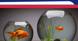 Le comparatif et le superlatif