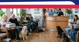 Les animaux de compagnie et leurs soins