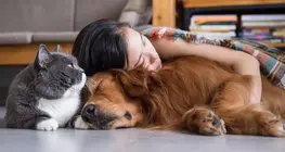 Animali domestici