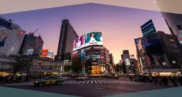 広告とメディアの影響