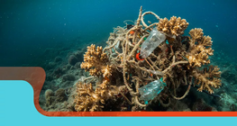 Environmental awareness