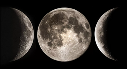 地球の天の伴侶