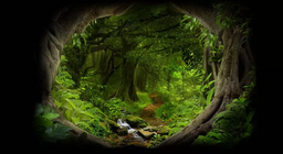 정글 속에 무엇이 숨어 있습니까?