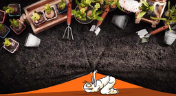 정원에서 무슨 일이 일어날까?