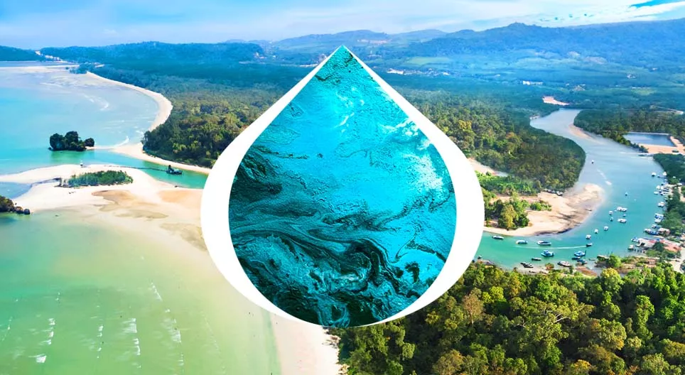 从源头到入海口的旅程