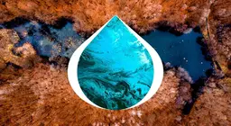 湖の開発