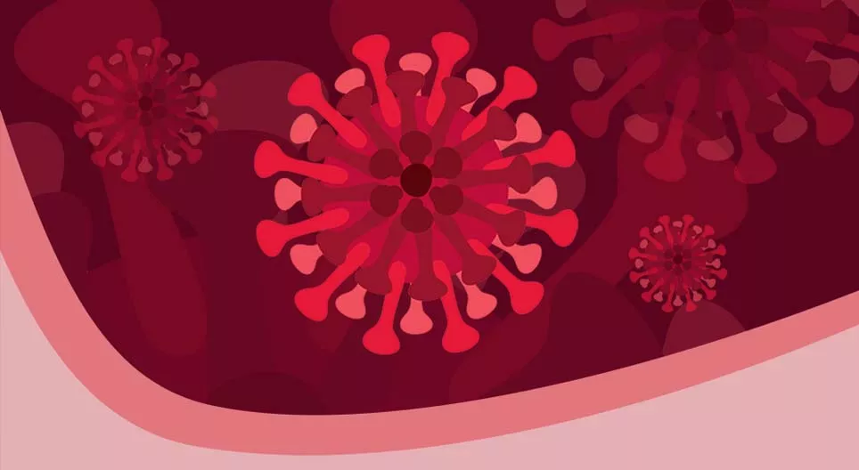 你应该知道的关于冠状病毒和COVID-19病毒的事情