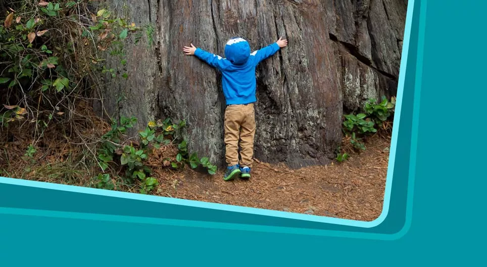 展示世界是多么的美妙