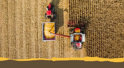 一般的な畑作物