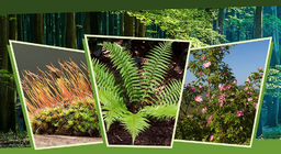 In light and in shadow