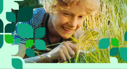 평야의 동식물상